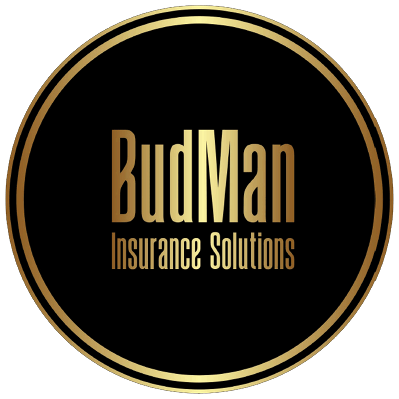 Budman Insurance Solutions logo black